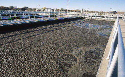 上海梓意工業(yè)污水消泡劑 上海梓意工業(yè)污水消泡劑